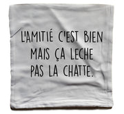 Coussin fun - l'amitié c'est bien mais