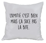 Coussin fun - l'amitié c'est bien mais