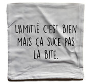 Coussin fun - l'amitié c'est bien mais