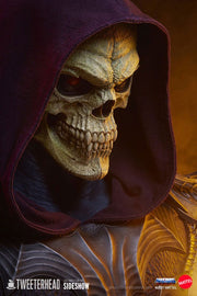 Preco - TweeterHead - Masters of the Universe buste 1/1 Skeletor Legends 71 cm - Artist Deluxe